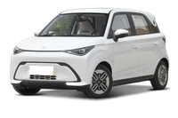 Chery New Energy Chery QQ Duomi
