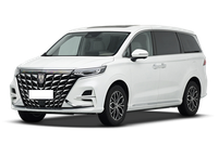 Roewe Roewe iMAX8 DMH