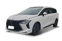 Dongfeng Forthing Dongfeng Forthing U-Tour PHEV