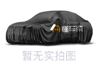 BYD BYD Sea Lion 08EV
