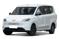 Wuling Wuling Hongguang EREV