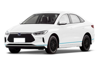BYD BYD e3