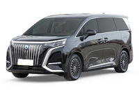 Denza Denza D9 EV