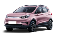 BYD BYD Yuan Pro