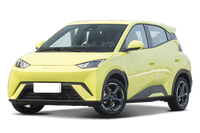 BYD BYD Seagull (BYD Dolphin Mini)