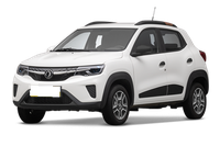 Dongfeng Nammi Dongfeng Nammi EX1