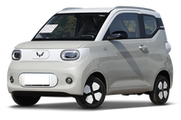 Wuling Wuling Hongguang Mini EV